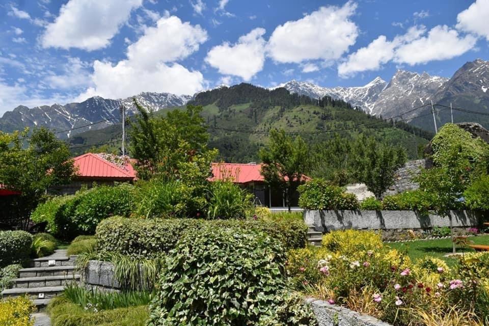 The Amrit Manali 2&3 Bhk Villas Exteriör bild